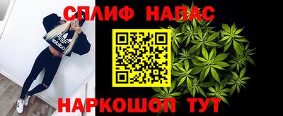 СК Нальчик