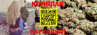 гидропоника Новозыбков
