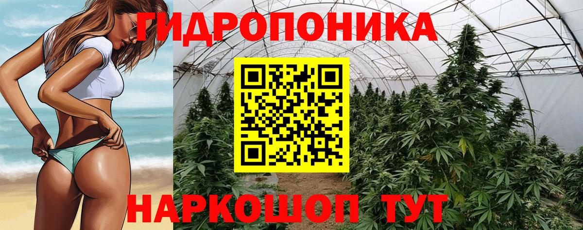 Бошки марихуана план Северск